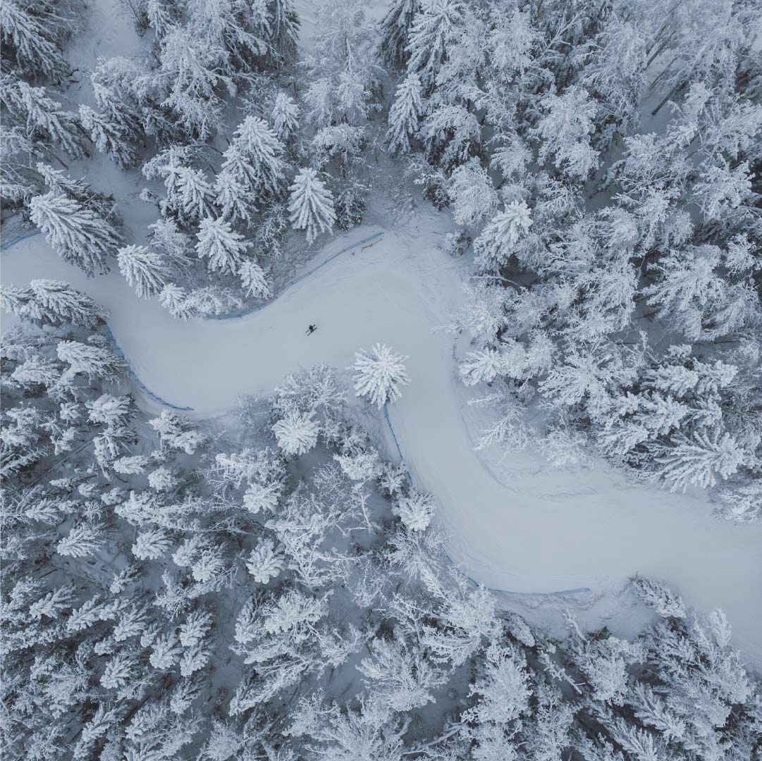 Ylhäältä kuvattu mutkitteleva laskettelureitti lumisessa metsässä.
